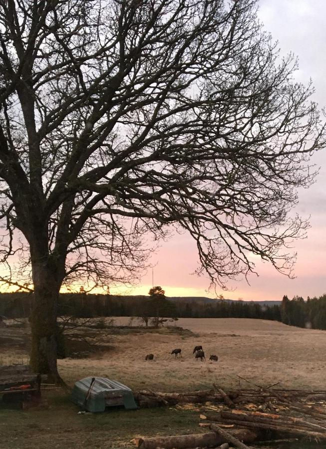 Stuga Vid Viltaker Naera Norska Graensen Strömstad Eksteriør bilde
